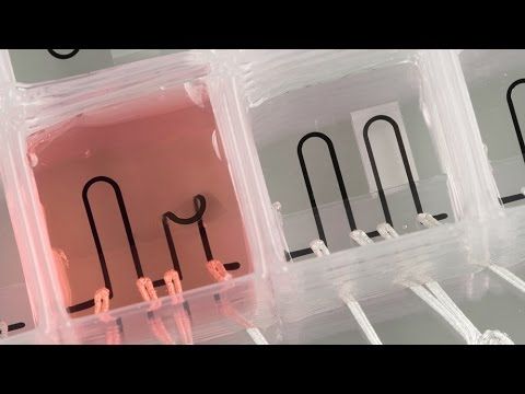 SE3Dedu's tweet photo. Harvard University researchers have made the first entirely 3D-printed organ-on-a-chip with integrated sensing. #organprinting #3dprinting #3dbioprinting #bioprinting #technology #organtransplant #heartchip #organ #3dbioprint #3dprinternews https://t.co/2jPVK5eNQy https://t.co/VaAUZE6iCF