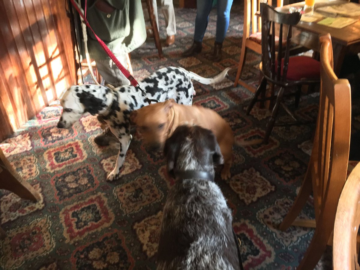 Dartmoor Ale Trail tweet media