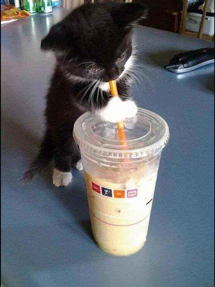 kittycatjihun's tweet photo. Sip sip

#KNK #JIHUN
#크나큰 #김지훈 https://t.co/ipim7obyeJ
