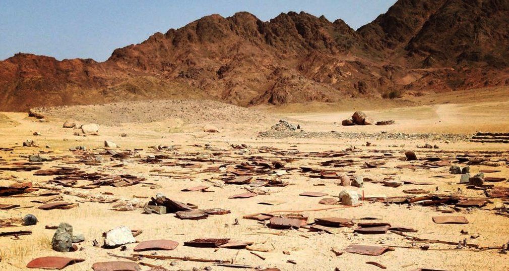 Conéctica tweet media