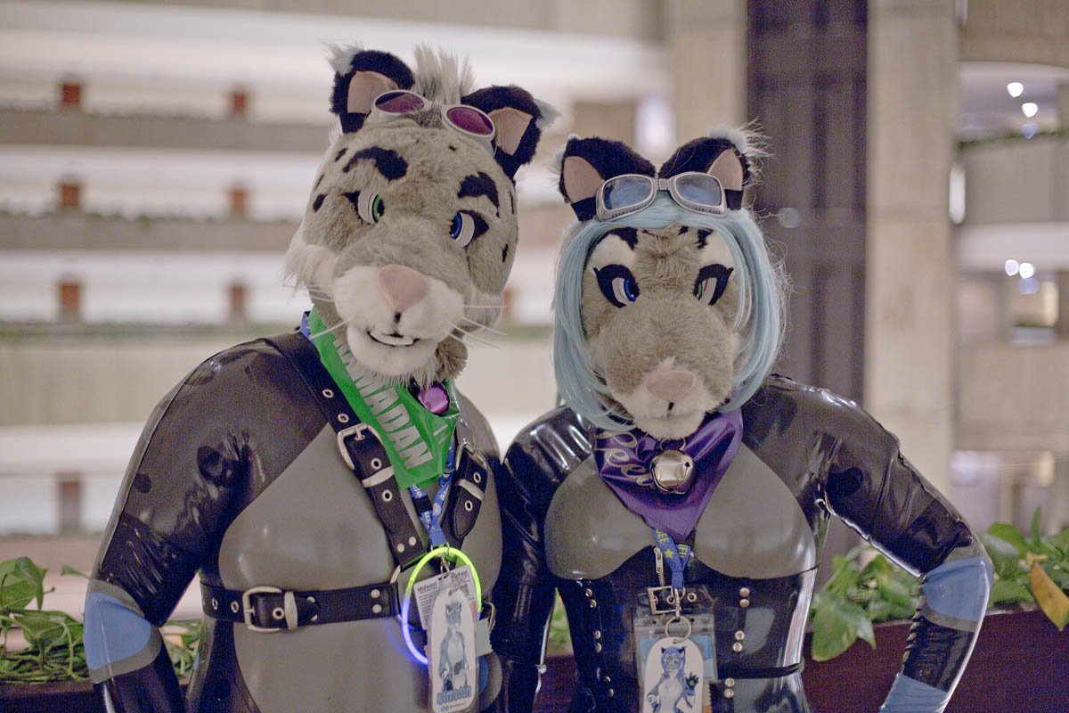 SnowSpottycats's tweet photo. It's been... since I started this Twitter account... so time for a...
#NewProfilePic
Letsee how I like this and if (or when) I'll revert back to the old one...
Taken at #FurFest #MWFF2017
With @SnowmewSkoll
๐ธ: @Tillikum https://t.co/fJmu43zAaE