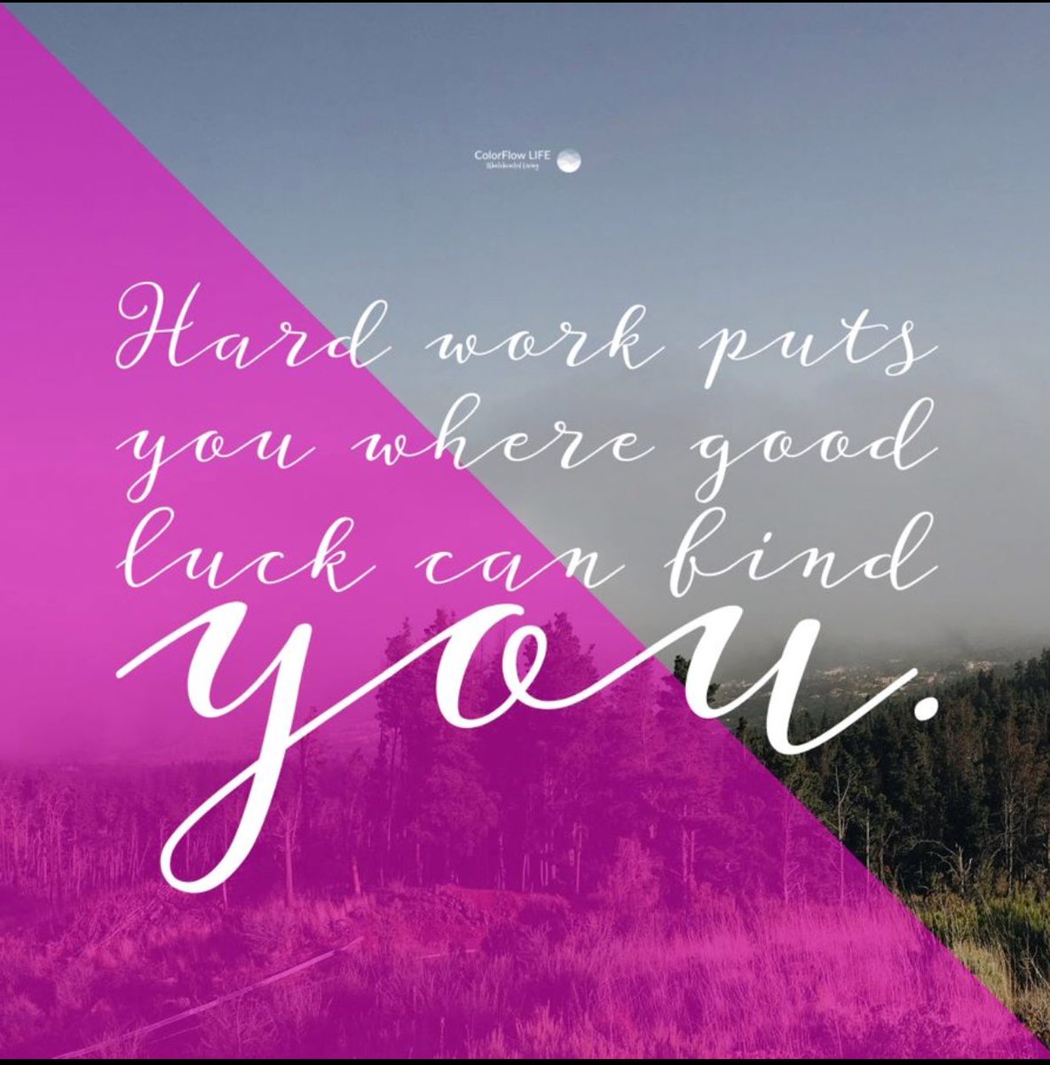 MyFlowLife's tweet photo. You can do anything. You just need to plant one seed a day and soon you will have a forest. #colorflowlife #seekevolutionlivefully https://t.co/NyNBGBLCPY