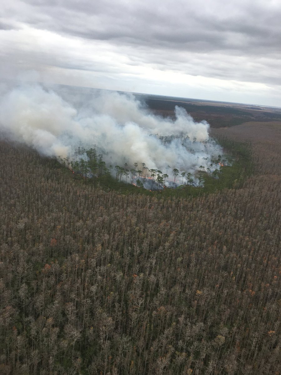 The first aerially ignited prescribed in quite a while today at the range! We are securing our ranges and impact areas with almost 2,000 acres of #prescribedfire @USFWSFireSE 
🚁🔥🇺🇸