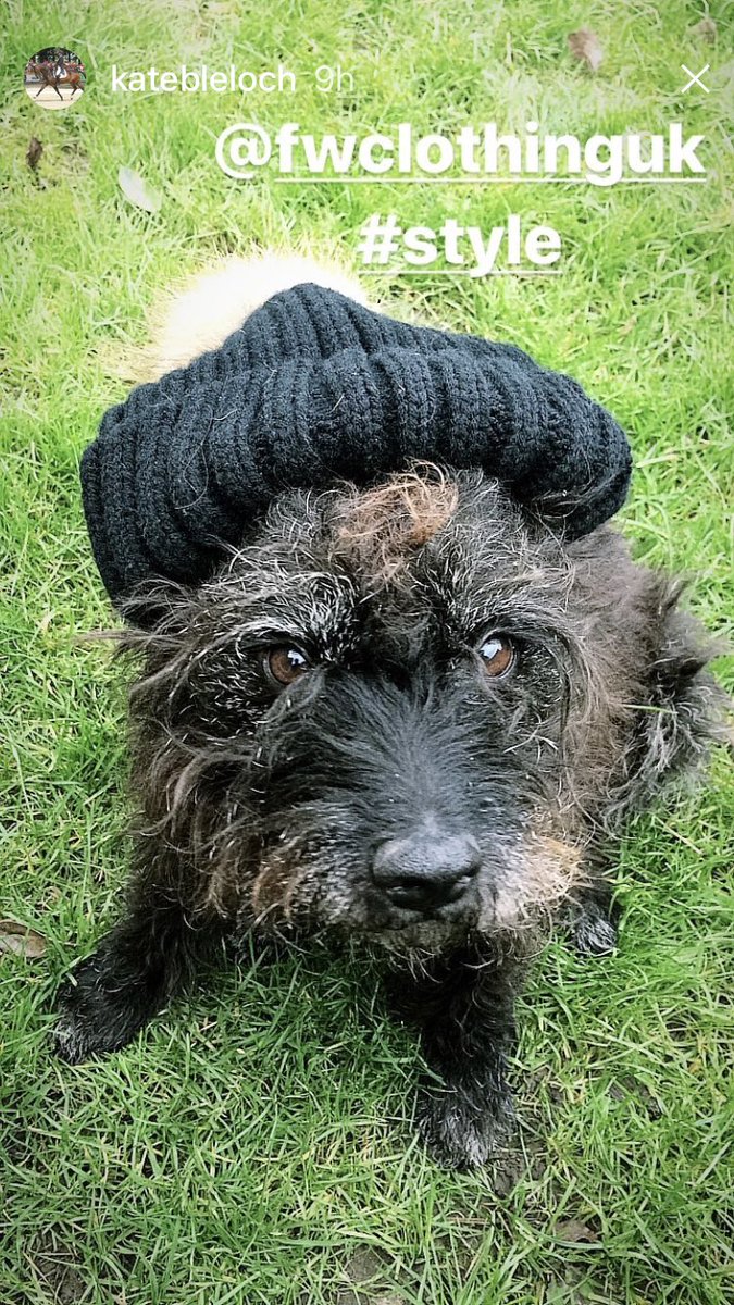 Loving this post from our Eventing brand ambassador <a href="/bleloch/">kate bleloch</a> #wherewillyouwearyours #SaturdayMorning #eventing #Eventinghour #clothingbrand