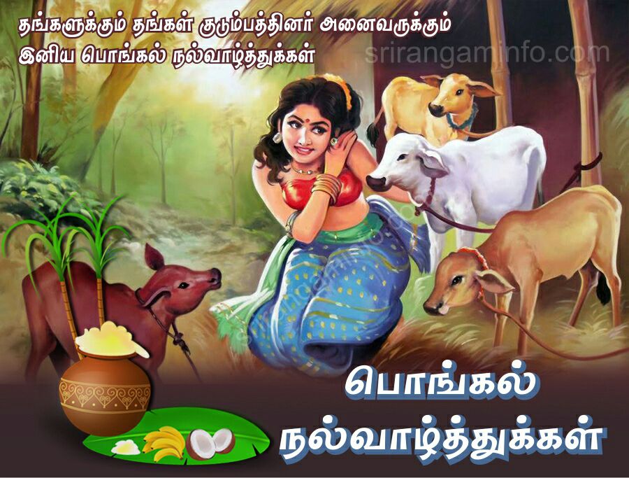 thilagaraja6's tweet photo. @kavitha8686 https://t.co/pslouvDD7d