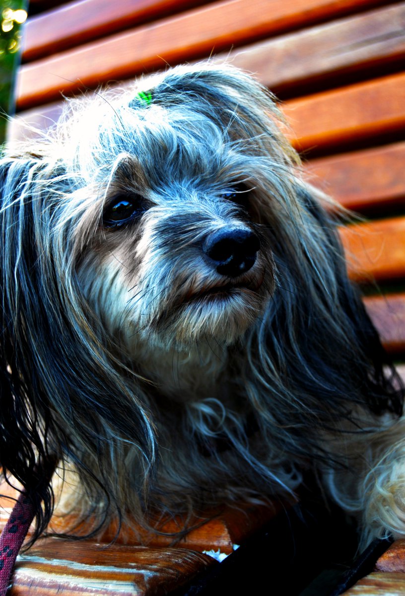 Оксана tweet media