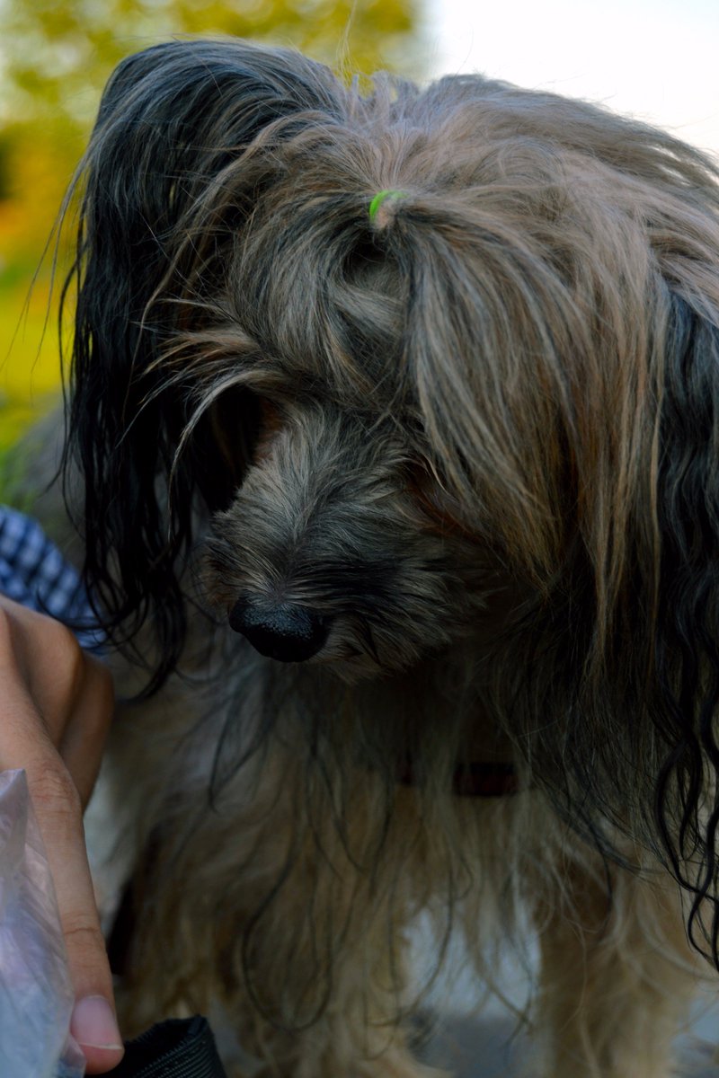 Оксана tweet media