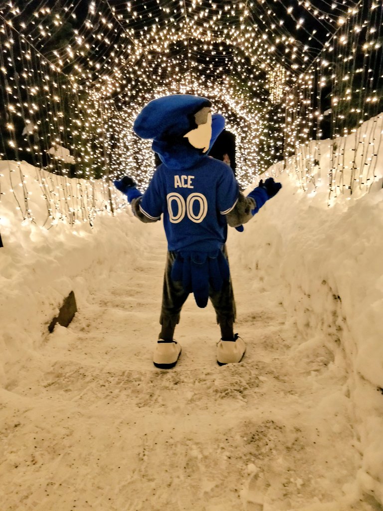 Toronto Blue Jays tweet media