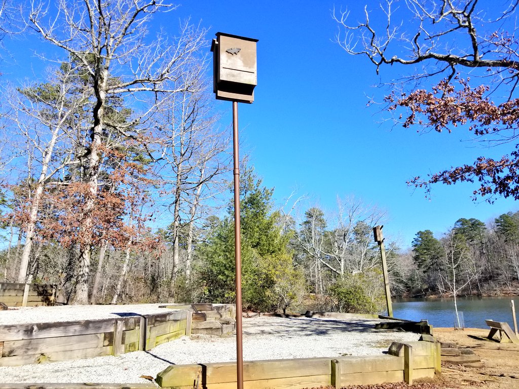 Sheugs's tweet photo. #HeyBatSam

We'll Leave The Light For You 😉
#BatHouse 🦇
#CrazyThingsTheyDoInTheMountains

@SamsSecretAlias
@GHJNancy https://t.co/ODmF573psN
