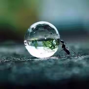 BodyBorne's tweet image. Fffffffff
Ooooo
Gggggg