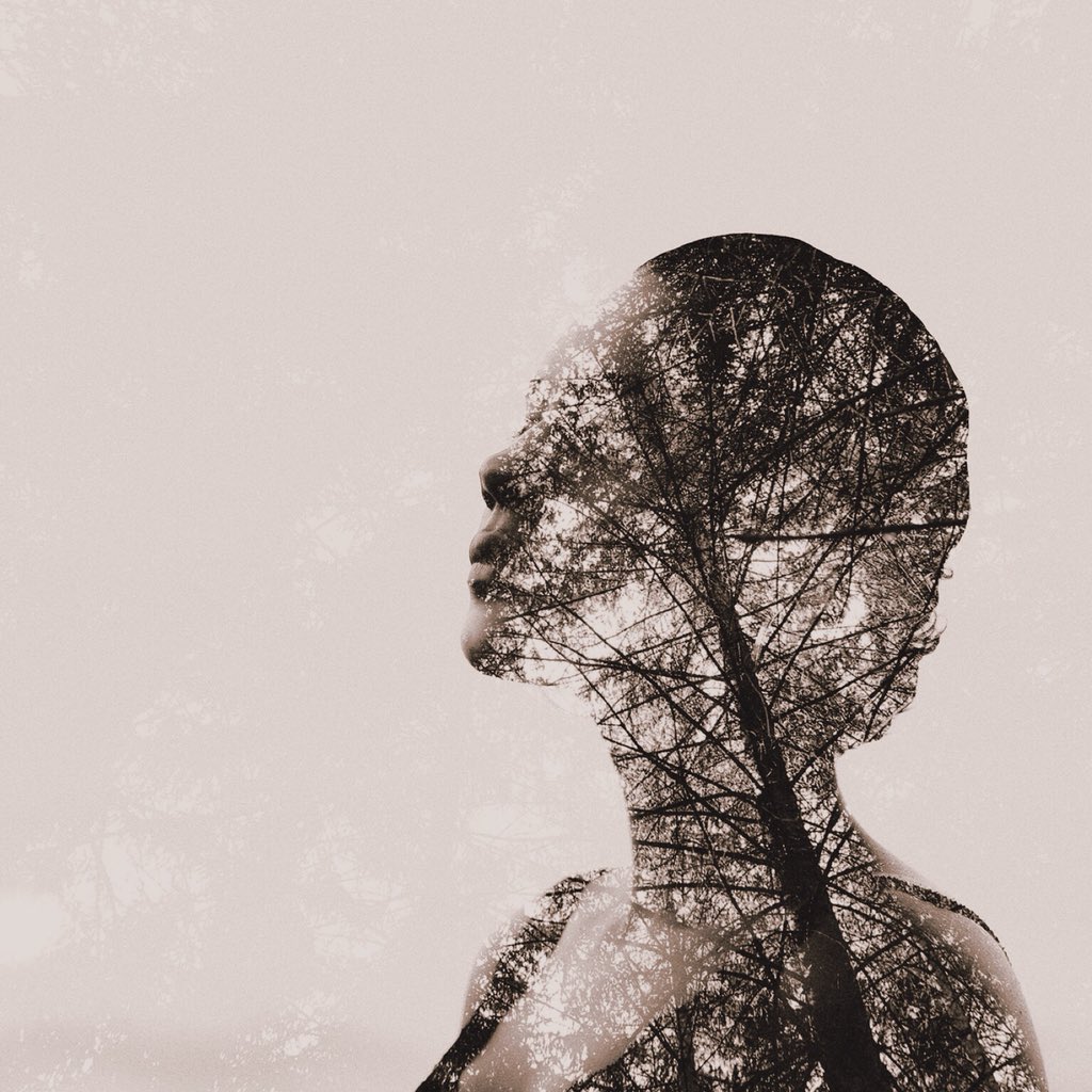 MontesPhilippe's tweet photo. #portrait #photomanipulation #mexturesapp #doubleexposures https://t.co/j5enVHNX3i