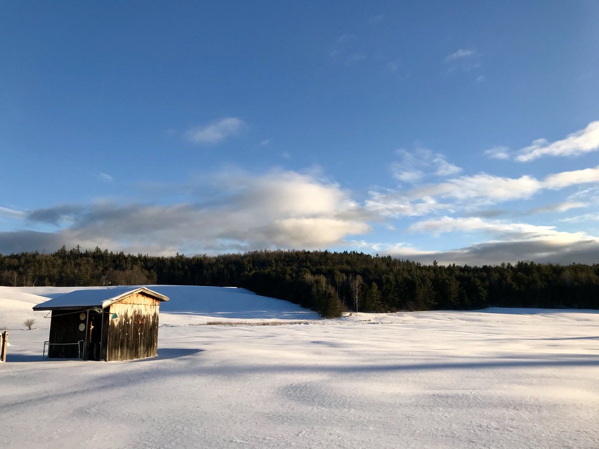 RaychelUSA95's tweet image. Untouched 🌬