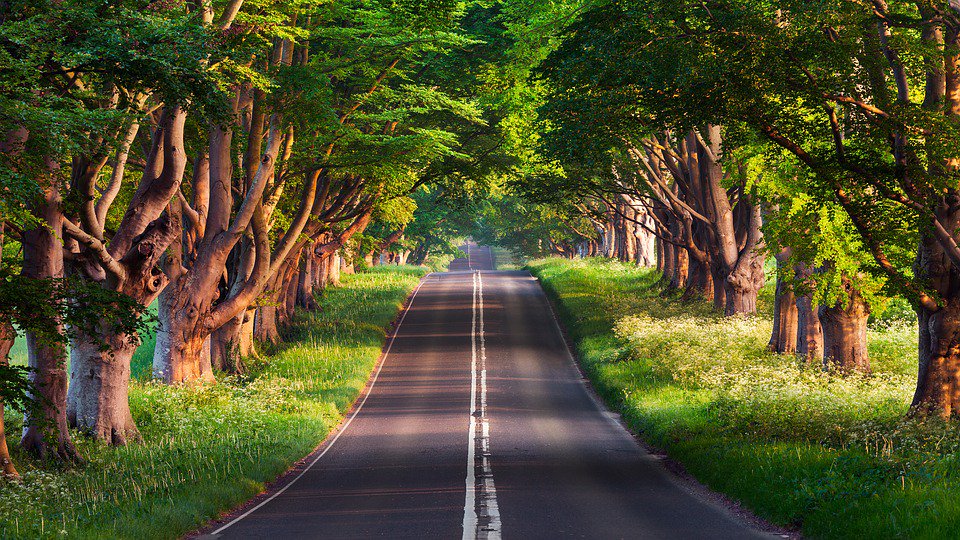 Getenergyfix1's tweet photo. The search for energy ends here! Patch up with #EnergyFix https://t.co/pyPkFYTPZI