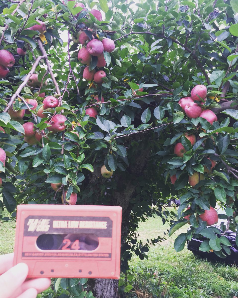 Flashwicks's tweet image. 