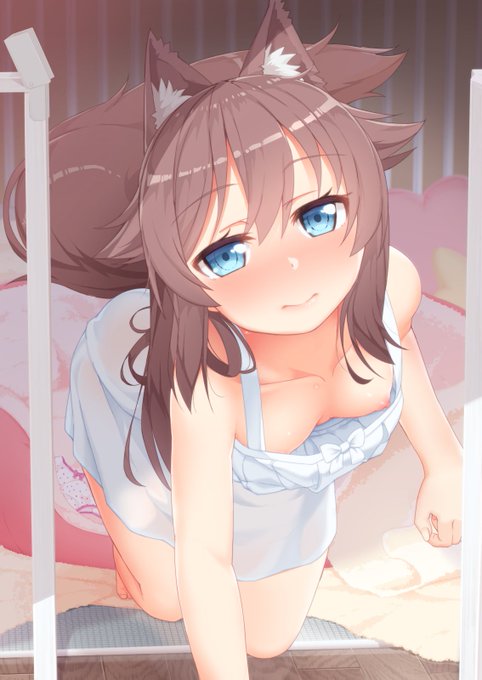 寝床からのそのそと出てくるわんこです 