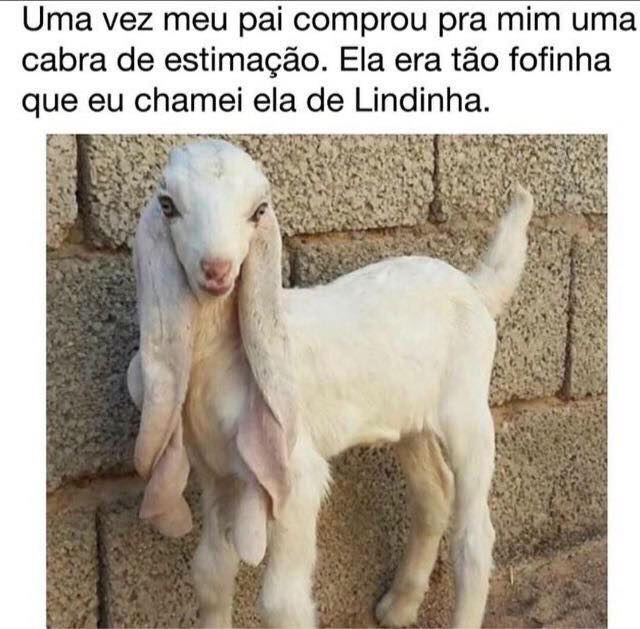 marqueosamigoss's tweet photo. eu sou a lindinha https://t.co/WX9PWntFo4
