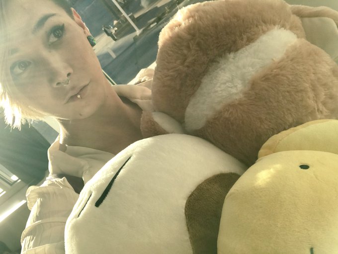 Plushies ! &hearts;️&hearts;️&hearts;️ https://t.co/0r9x4dYXFU<a href="/tag/mvsales"class="tags"><span>#mvsales</span></a>