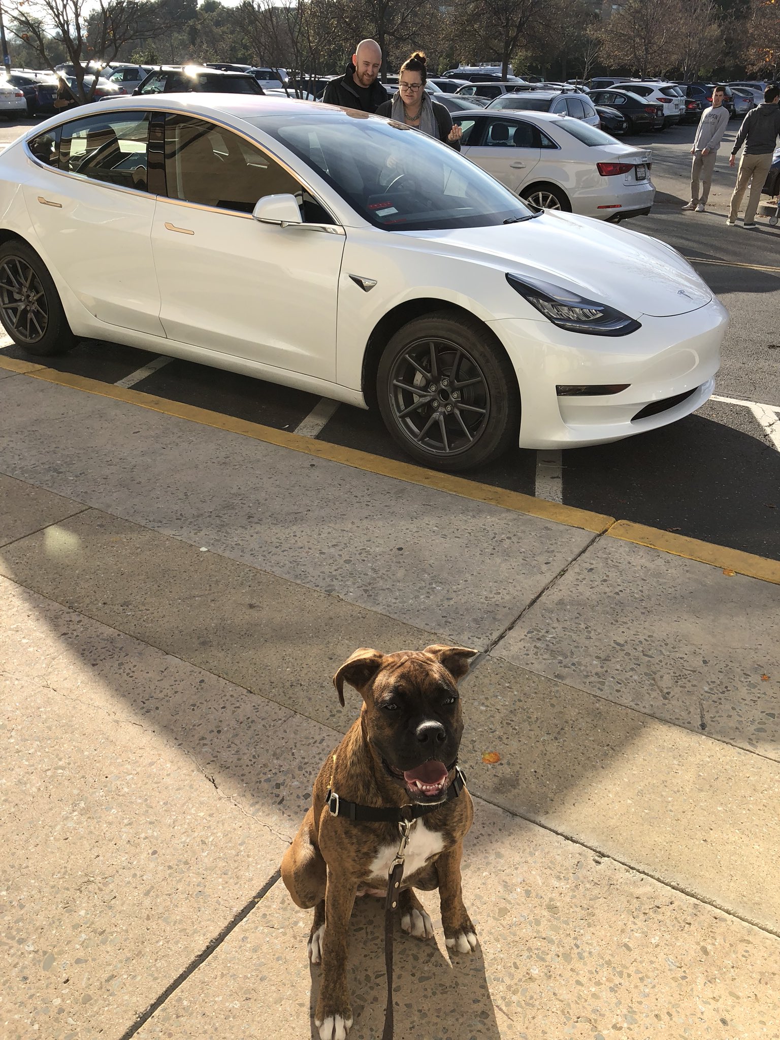 Ryan McCaffrey on Twitter "Massive mob of people waiting in line to