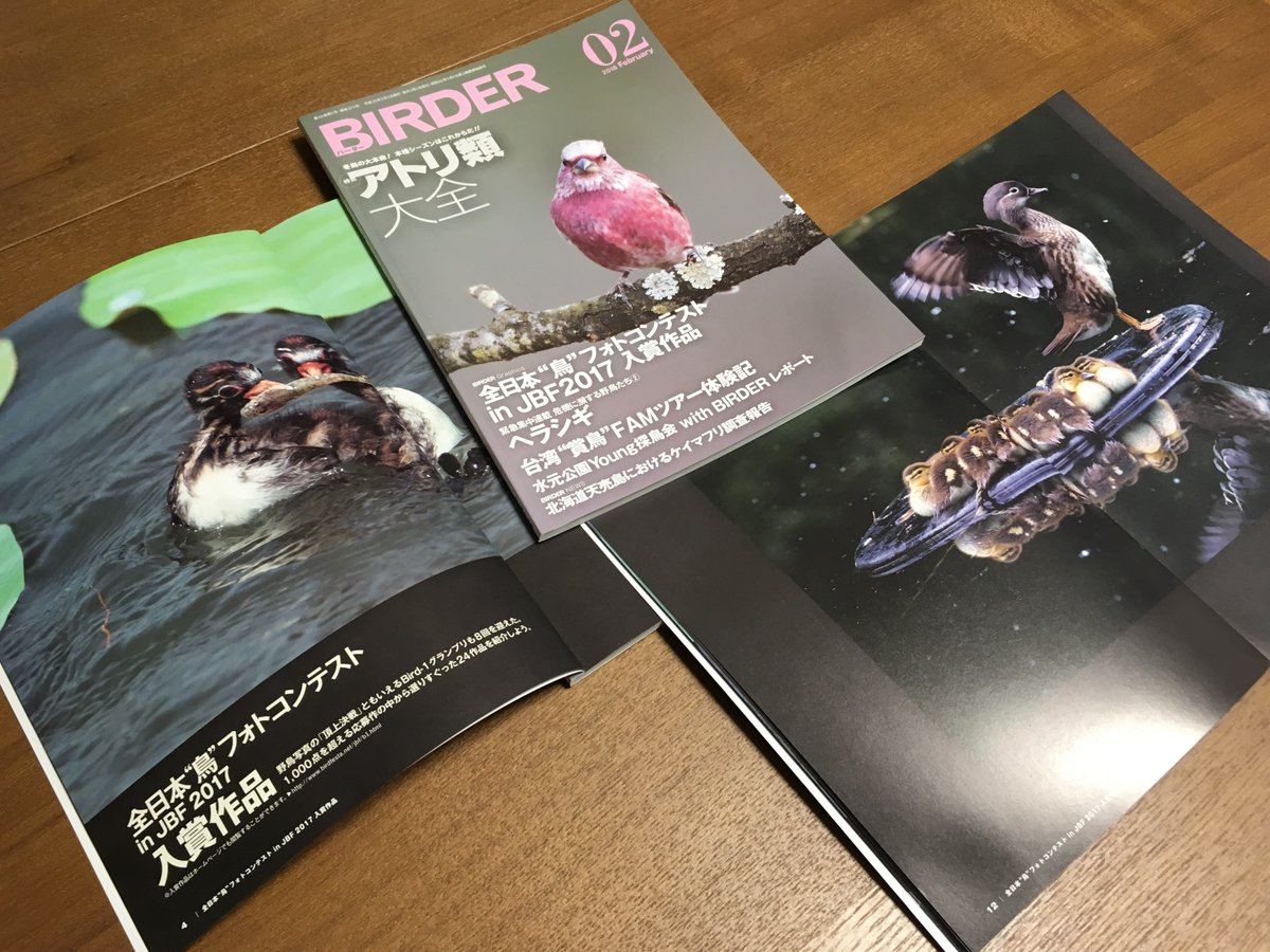 JBFstaff's tweet photo. 全日本鳥フォトコンテスト in JBF2017 の全入賞作品が掲載されているBIRDER 2月号は、明後日1/16(火)発売です☆
ジャパンバードフェスティバル2018、11月3日、4日開催!
#JBF2017 #JBF2018 https://t.co/JJAOvrgDMD https://t.co/a3WJVdaLkY