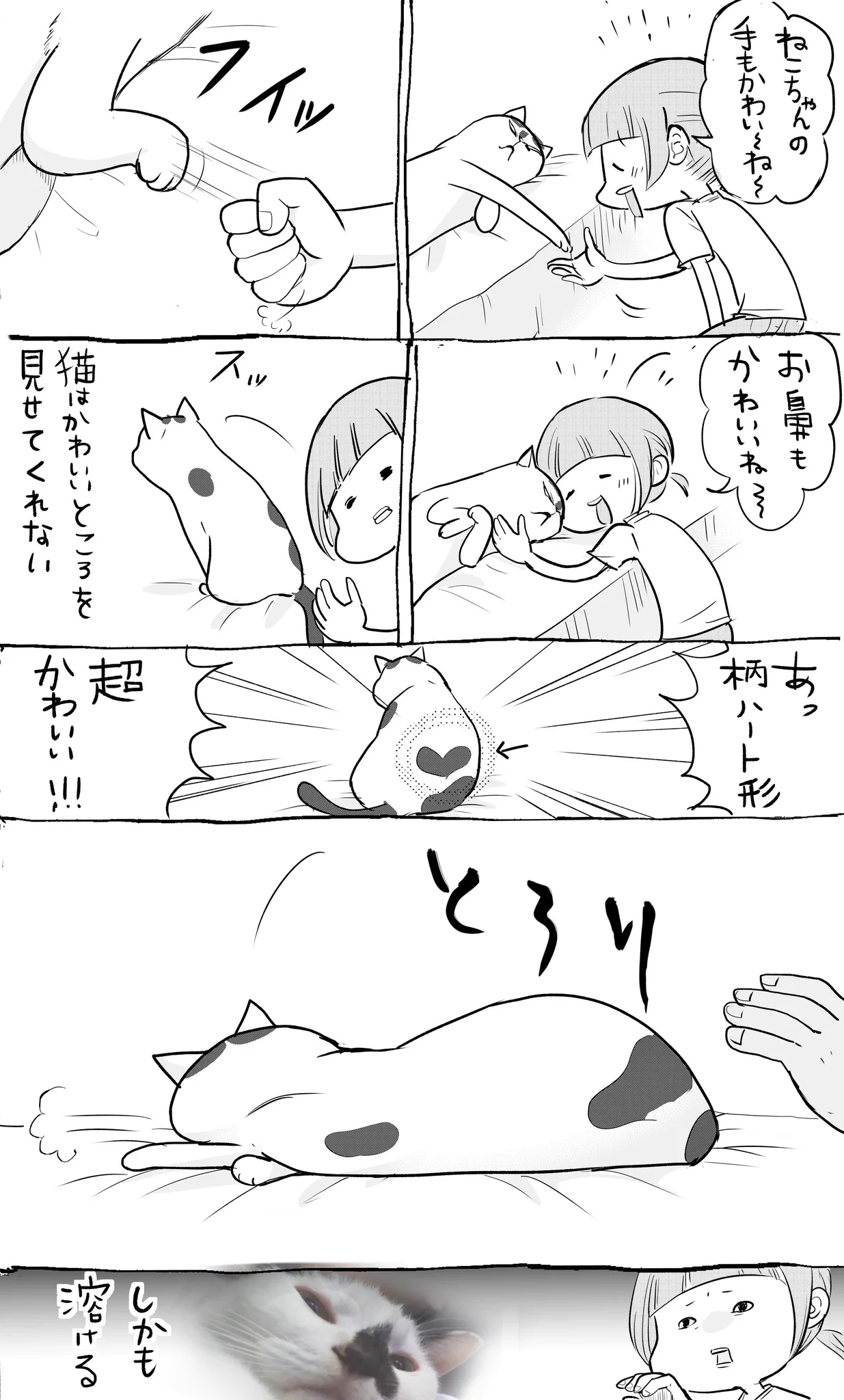 犬猫、多頭飼いあるあるw犬のドヤァ感と猫のつれない感じがたまらなくかわいいwww