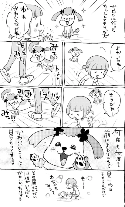犬と猫どっちも飼ってると、チャームポイントがいっぱいあったり儚かったりして毎日たのしい 