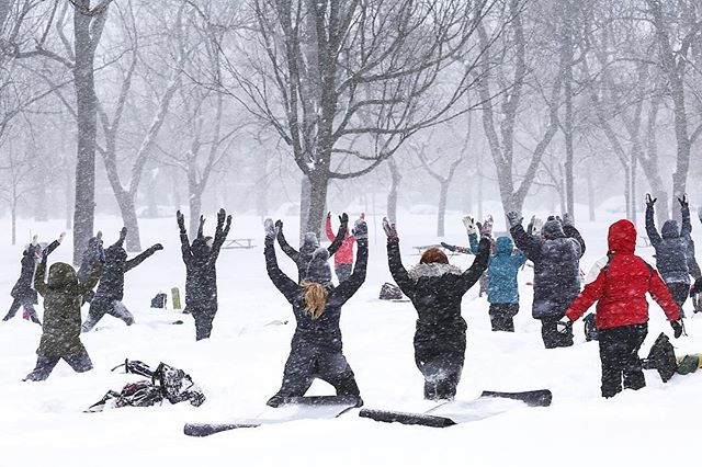 PlateauCom's tweet photo. @jfsavaria https://t.co/cqzRGqO5KH Yoga Neige au Parc ❄️ #cinqcentquatorze #snowgamtl #parclafontaine #popspirit #plateaumontroyal #mtlmoments #trouvetonéquilibre https://t.co/SV2ABUO7Dq