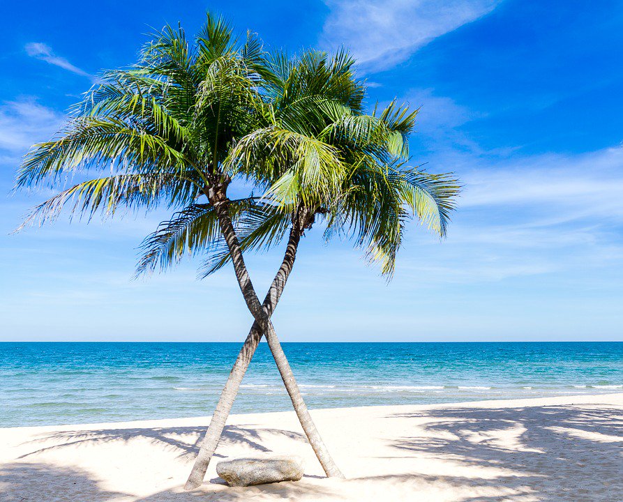 #giveaway for Trip to Caribbean - FOLLOW RETWEET &amp; GIVE here: fundrazr.com/c1JJTc?ref=sh_… This year we are going longer and stronger, in support of those in need - Hurricane Irma - Participate and see what comes back to you in #2018 #TheSecret #FingersCrossed