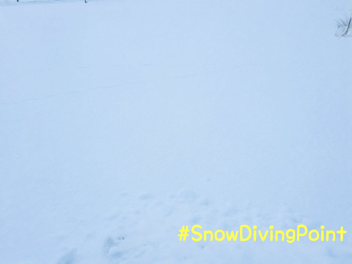 herohero013's tweet photo. #北海道 は今が #diving シーズン! 手軽で自宅の近くに #divingpoint あるんだぜ! 北海道最高!! #SnowDivingPoint #SDP https://t.co/CqIbUL75S8