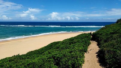 addiswan_'s tweet photo. Nhanombe Lodge Zavora, your Ideal Accommodation in Mozambique https://t.co/TI6tiEPnOP https://t.co/Dzz6wC1XaZ