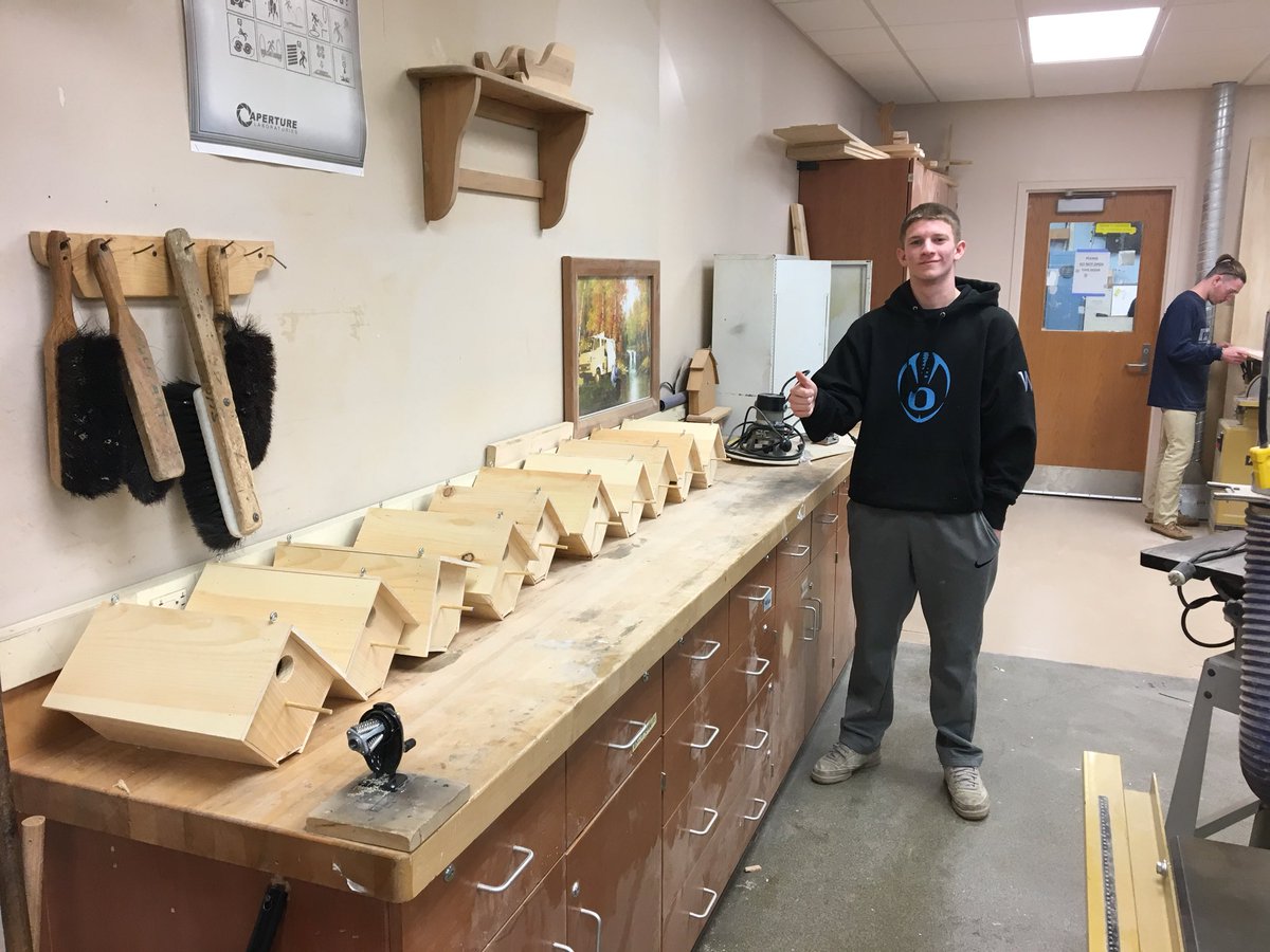 Birdhouses for school 3.