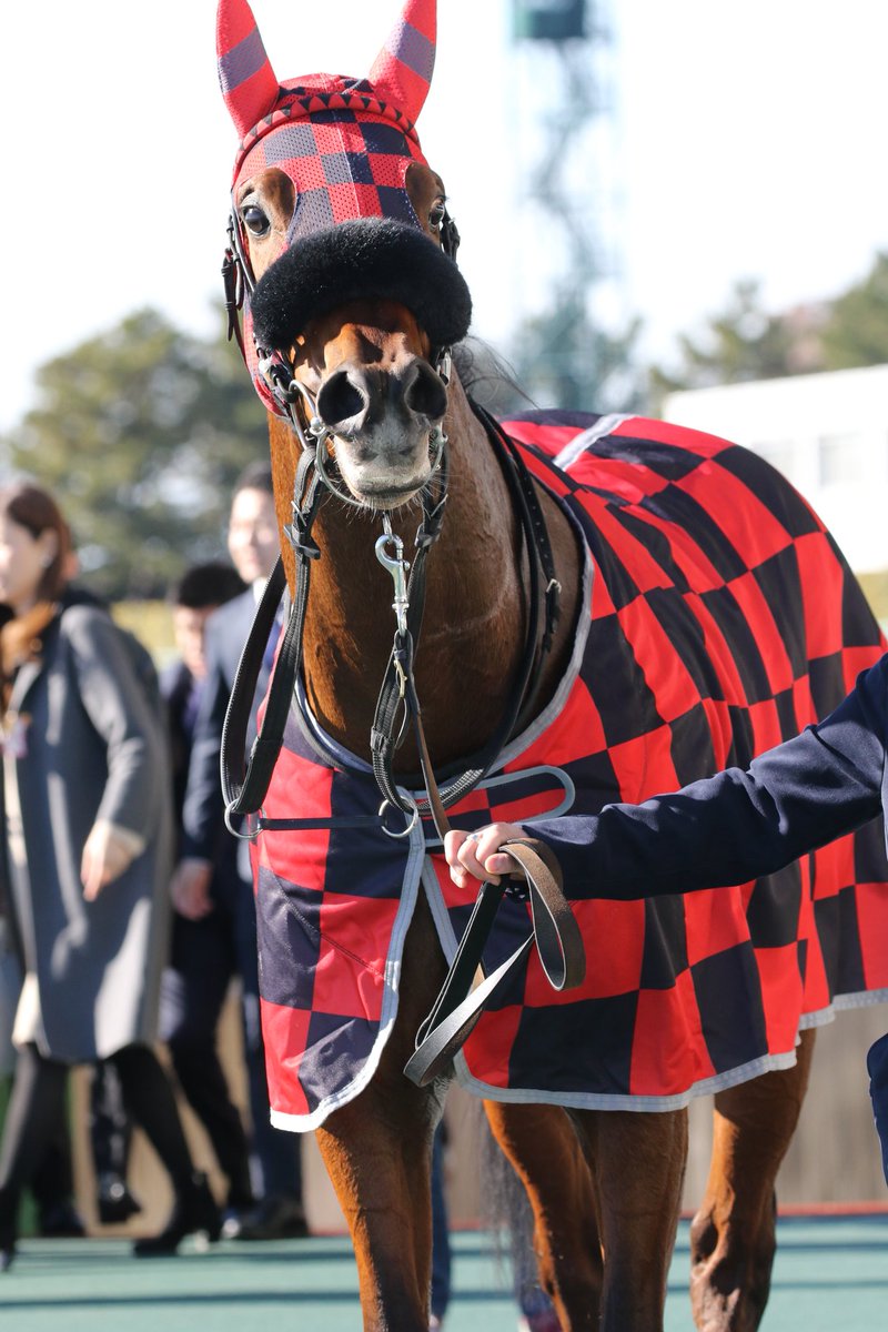 のだまハイ En Twitter かっこいいメンコ 馬服 アシャカデッシュ 中京2r