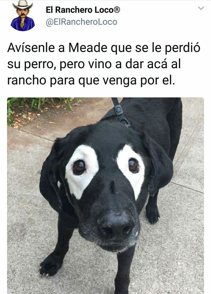 tepaoli51's tweet photo. #YaSabesQuién #Morena #AMLO2018 Tenemos que acabar con los corruptos👌😉 #FuerPRIAN puercos,cochinos,cerdos,marranos......!!! https://t.co/XWri1we1Xg