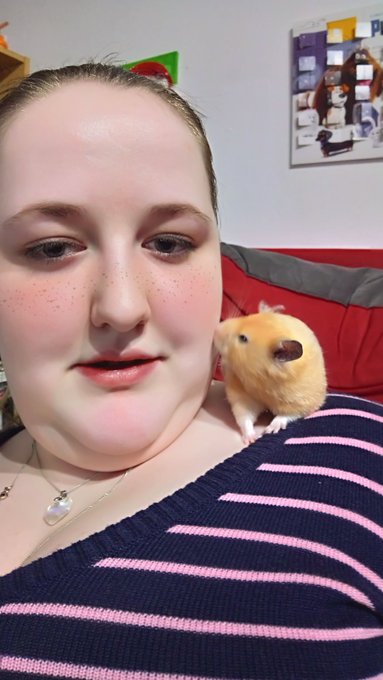 Kisses for me from my hamster 🐹 https://t.co/tZ9Op21En5<a href="/tag/tgif"class="tags"><span>#tgif</span></a>