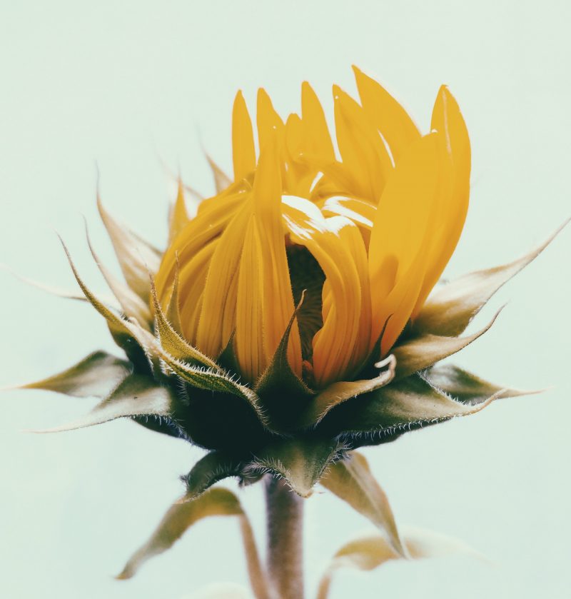 All Together Now dianawrote.com/2018/01/all-to…