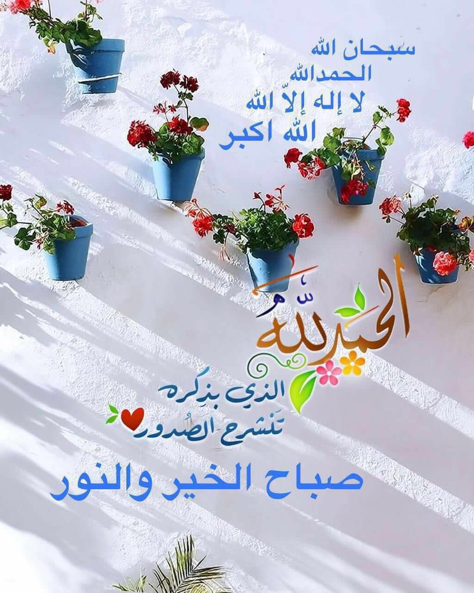 mohammed212012's tweet photo. الحمدلله الذي بذكره تنشرح الصدور❤️ https://t.co/mmB93BcLDu
