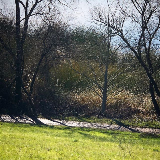 dgaetano's tweet photo. #landscapetextures #landscapephotography #landscapelovers #landscape_captures #shadowplay #interplay #instagood #instadaily #instadailylook #instadailyohoto #instadailypic #composition #layered #dailypic #dailyart #dailyshot #dailygram #hikingadventures … https://t.co/T6GjTWu1Ob https://t.co/NCSrsI1I2d