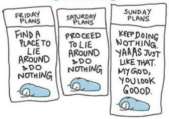 Motionfiilms's tweet photo. @hgvmp_official Here is our plan for 2018 weekends! 🛌 https://t.co/5rMK0TVvoH