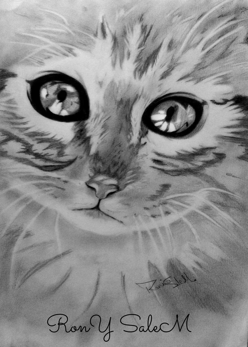 ROonySalem's tweet photo. https://t.co/uGLmETOmno
https://t.co/dEYo86x33N
( LIKE &amp; follow my drawing pages if you love ART ❤ ) ✏📋🎨🖌❤ https://t.co/0oNxhsEl14
