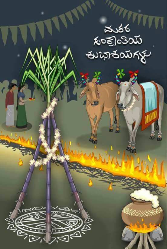 Happy Sankranthi and Happy Pongal to  all, may peace, happiness, joy and sweetness be there in everyone’s life🙏🏻🙏🏻🙏🏻