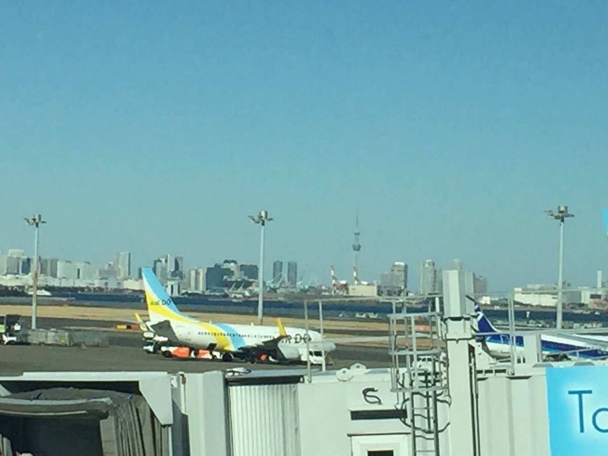kimura_ratio's tweet photo. 羽田空港です。きよはこれから鹿児島に向かいます。 https://t.co/sULIkZl0YL