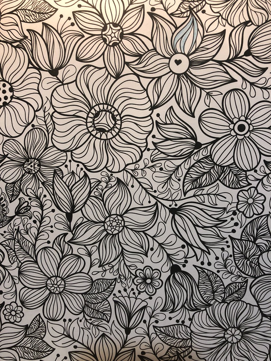 geeky_goddess1's tweet photo. Starting this tonight while I wait for my son to go to bed. Need to go to bed early. #colorframe  #simple123 #country #adultcoloringbook #colorinspires #relaxing https://t.co/rRbGjpVpG5