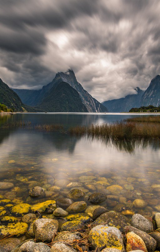 ultrawidelife's tweet photo. Pure New Zealand (Photo series) – Milford Sound https://t.co/lNAoJxOG0K https://t.co/cxYOqfu6X8