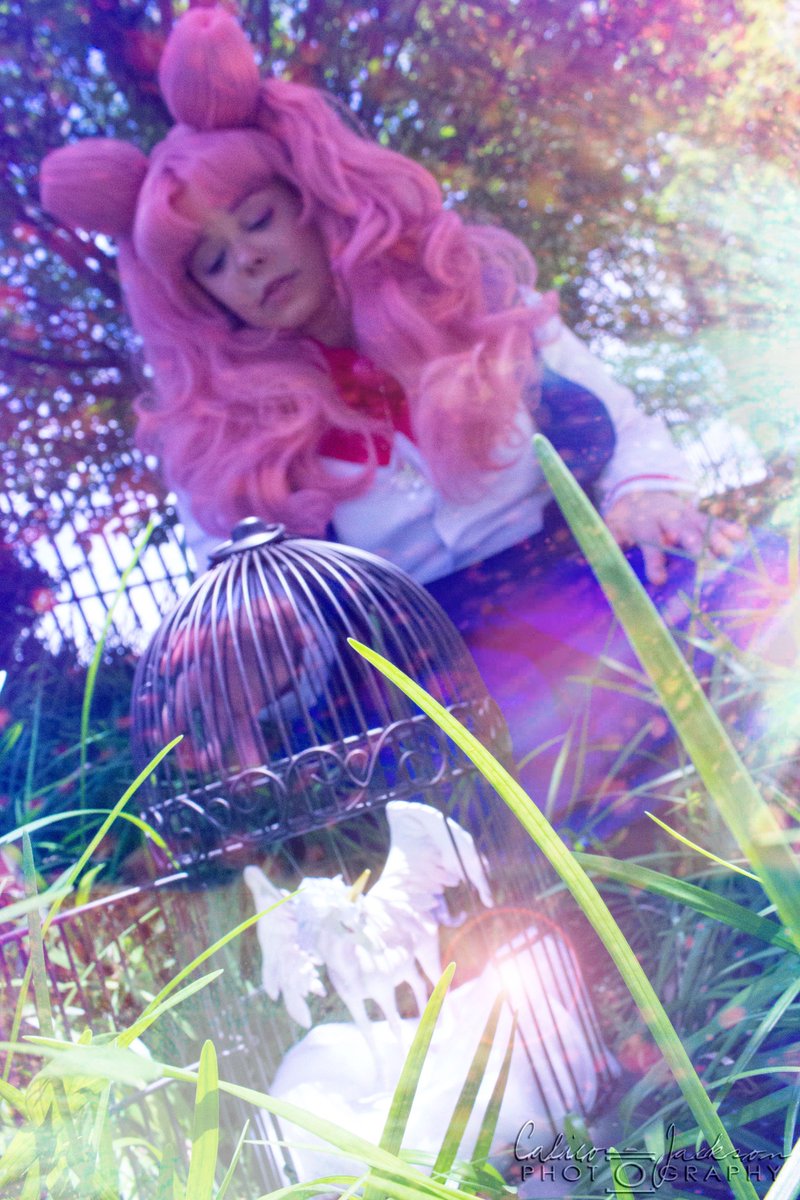 ChelleBelleCos's tweet photo. Chibiusa photoshoot 1🐰🍰🌙 
📷@_calicojackson_

#connecticon2017 #ConnectiCon #ctcon2017 #ctcon #sailormooncosplay #sailormooncosplayer #sailormoon #chibiusacosplayer #chibiusacosplay #chibiusa #chibimoon #chibimooncosplay #cosplaygirl #cosplayer #cosplay #cutecosplaygirl https://t.co/qjiJJJs2FC
