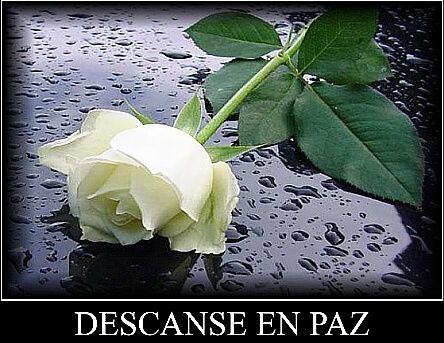 MayVenezolana's tweet photo. @LaTaTcherOne @RoseRagt VUELA ALTO GUERRERA @RoseRagt Q.E.P.D QUE DIOS TENGA EN SU GLORIA ETERNA  Y LAS LLEVE CON MUCHA ALEGRÍA Y GOZO EN EL CAMINO HACIA SU REINO ETERNO. AMEN.🙏

Rezamos por la paz de su alma y le rogamos a Dios nuestro Señor que lo tenga en la gloria. 🕊#ComandoAS https://t.co/S3xX6p5IOF