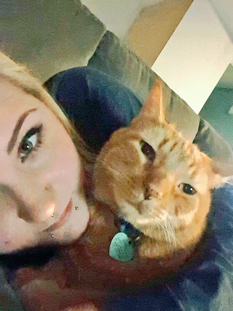 Irish_Crystal's tweet photo. My big baby been laid up with me since I sat down around 8ish ❤😍😁😙 #mylittlelion #simba #lionking #cuddlebutt #myoldman #bestfrann #love #myfavorites https://t.co/ooMU60u5LC