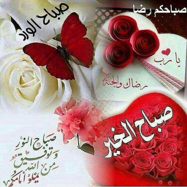 mahmoud saleh (@mahmoud1976516) on Twitter photo 