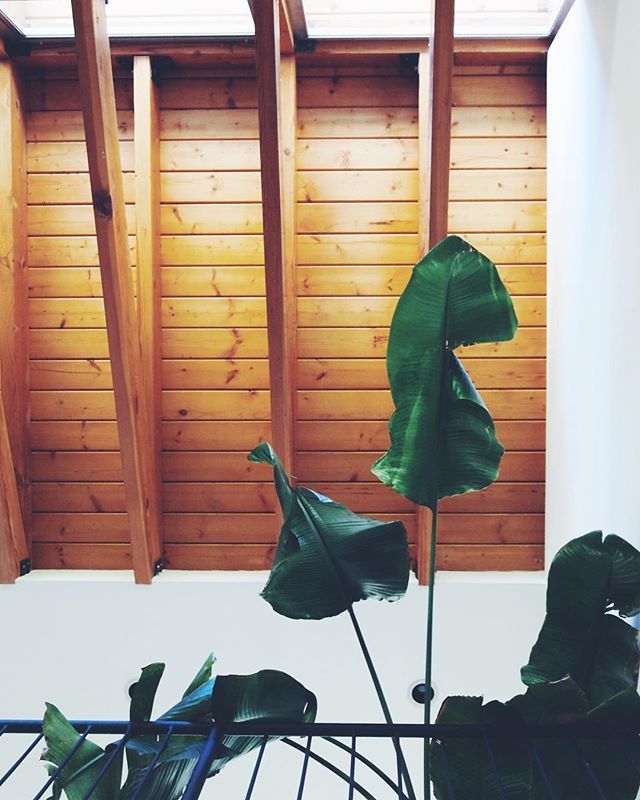 happilydwell's tweet photo. Happy happy weekend! https://t.co/C8XRlzbKD3 https://t.co/DfQXzWkqdT