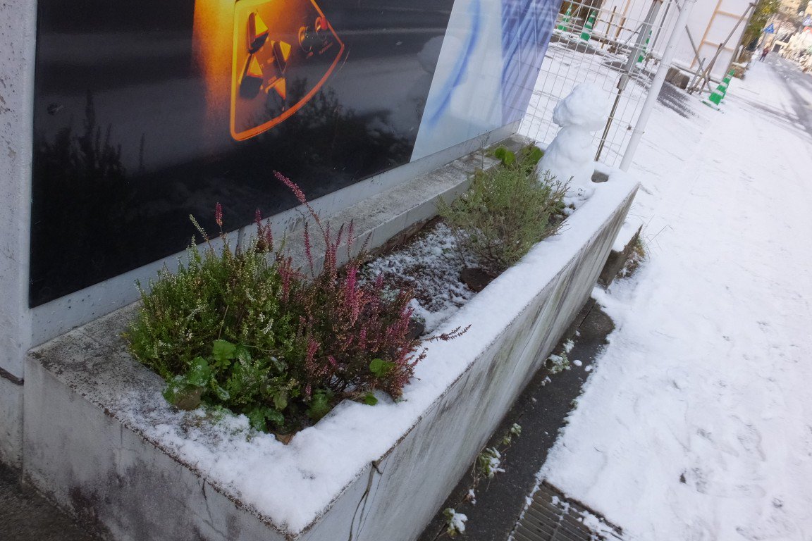 fs_higashi's tweet photo. 先日は雪が積もりましたね。大雪とまではいきませんでしたが、帰宅が困難となり当店を利用された方も多かったようです。
外の花壇には「雪の華」が咲き、店長作の雪だるまがちょこんと鎮座しておりました。
東長崎でも山間部などはまだ雪が残っているとのこと。お足元にはご注意くださいませ。 https://t.co/oyOOusdh6L