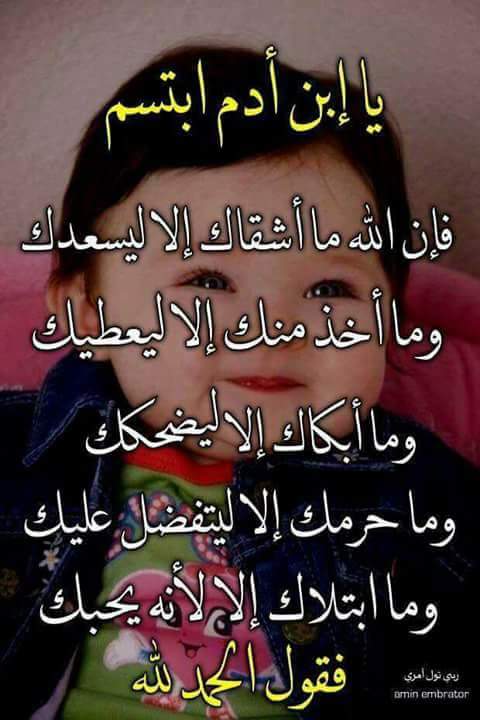 halems8's tweet image. 