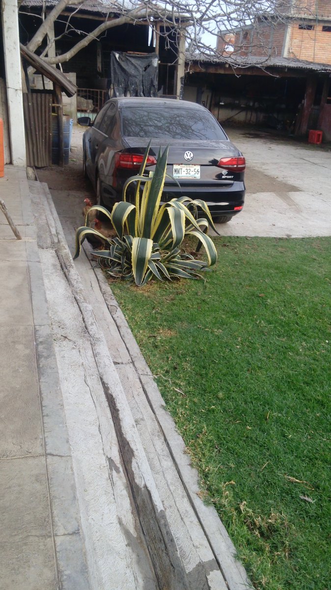 velderg's tweet photo. Tiren paro porfa,RT  me acaban de robar mi carro en la region de Amecameca Estado de Mexico. Me lo quitaron a punta de pistola.  Jetta negro 2016. placas mwt 3256 @elwarpig @fantasmasuarez @ChumelTorres @Olallo_Rubio @SSP_CDMX @hdemauleon @ruleiro @dmorenochavez https://t.co/l56J7yxqYD